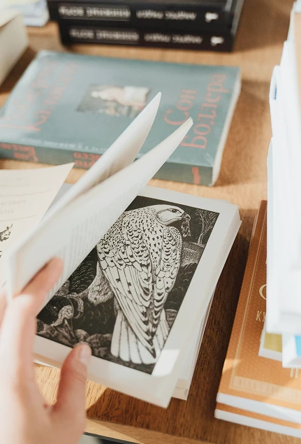 La librería Antonio Bosch