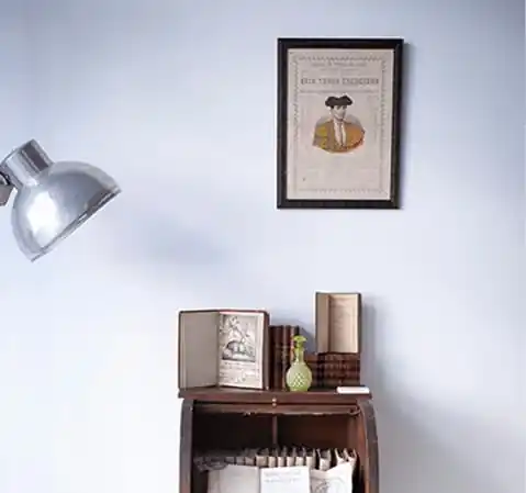 La librería anticuaria Antonio Bosch. Una lámina histórica y libros antiguos de colección.