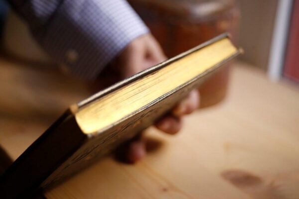 Libro: Ensayo de Antropología o sea Historia fisiológica del hombre en sus relaciones con las ciencias sociales y especialmente con la Patología y la Higiene. (Tomo I unico publicado) | Autor: | Libros Bosch