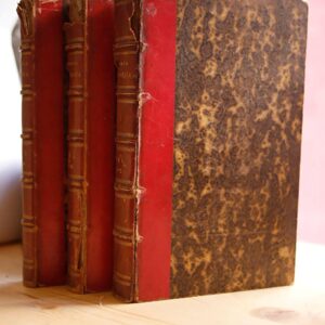 Storia pittorica della Italia dal risorgimento delle belle arti fin presso al fine del XVIII secolo.