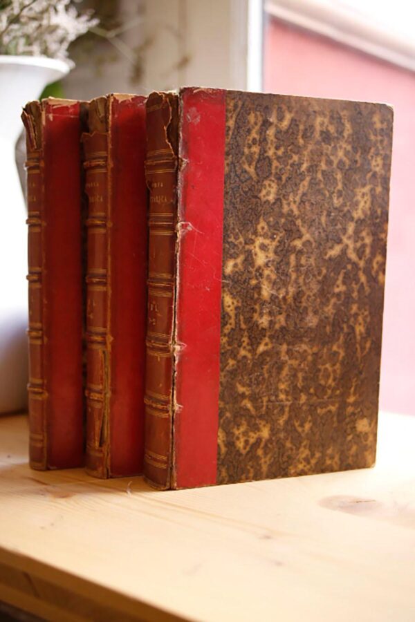 Libro: Storia pittorica della Italia dal risorgimento delle belle arti fin presso al fine del XVIII secolo. | Autor: | Libros Bosch