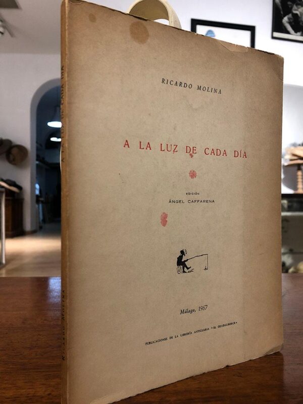 Libro: A la luz de cada día. Edición de Ángel Caffarena. | Autor: | Libros Bosch