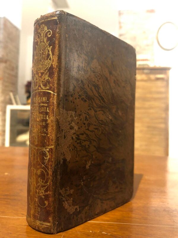 Libro: La Vírgen: Historia de María Madre de Dios. Tomo I | Autor: | Libros Bosch