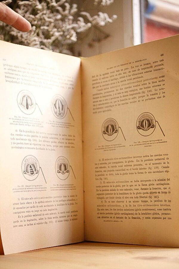Libro: Tratado de diagnóstico médico. Estudio de los signos físicos en las enfermedades. | Autor: | Libros Bosch