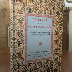 La riada. Descríbese la terrible inundación que molestó a Sevilla en 1784.