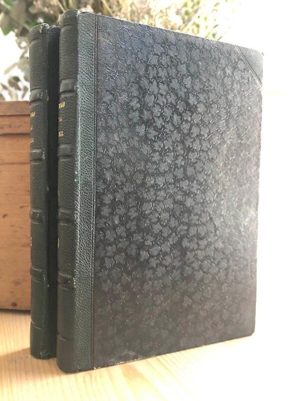 Libro: Víctimas y verdugos. Cuadros de la Revolución Francesa. 2 tomos. El amigo de la Familia. Novela - Almanaque - Revista. | Autor: | Libros Bosch