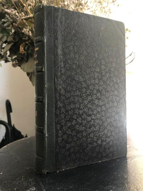 Libro: Víctimas y verdugos. Cuadros de la Revolución Francesa. 2 tomos. El amigo de la Familia. Novela - Almanaque - Revista. | Autor: | Libros Bosch