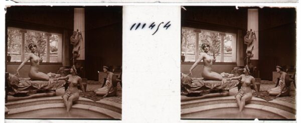 Libro: Desnudo artístico estereoscópico en cristal. Fotografía estereoscópica. Jules Richard. The Atrium. | Autor: | Libros Bosch