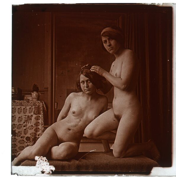 Libro: Desnudo artístico estereoscópico en cristal. Fotografía estereoscópica. Jules Richard. The Atrium. [Attributed to] | Autor: | Libros Bosch