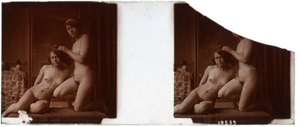 Libro: Desnudo artístico estereoscópico en cristal. Fotografía estereoscópica. Jules Richard. The Atrium. [Attributed to] | Autor: | Libros Bosch