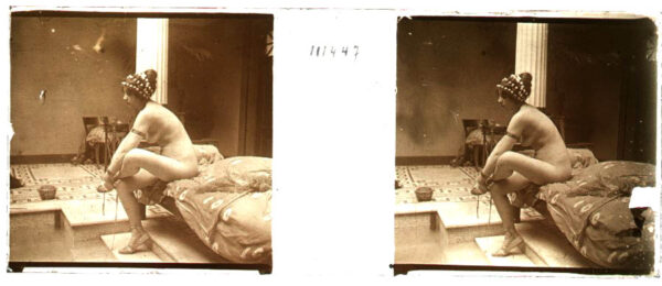 Libro: Desnudo artístico estereoscópico en cristal. Fotografía estereoscópica. Jules Richard. The Atrium. | Autor: | Libros Bosch