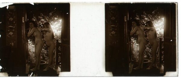 Libro: Desnudo artístico estereoscópico en cristal. Fotografía estereoscópica. Jules Richard. The Atrium [Attributed to] | Autor: | Libros Bosch