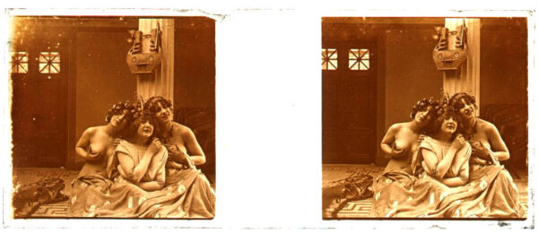 Libro: Desnudo artístico estereoscópico en cristal. Fotografía estereoscópica. Jules Richard. The Atrium. | Autor: | Libros Bosch