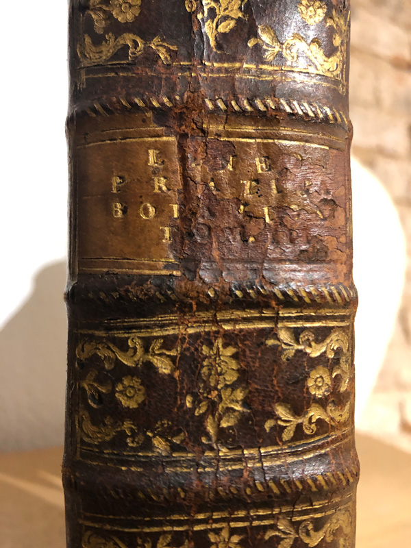 Libro: Parte práctica de botánica del caballero... que comprehende las clases, órdenes, géneros, especies y variedades de las plantas, con sus caracteres genéricos y específicos, sinónimos más selectos, nombres triviales... Tomo III. Traducida del latín en castellano por Antonio Palau y Verdéra. | Autor: | Libros Bosch