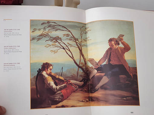 Libro: Homo ludens. Le jeu dans les collections du Museo del Prado. Games in the Museo del Prado Collections. El juego en las colecciones del Museo del Prado.. | Autor: | Libros Bosch