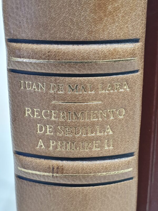 Libro: Recebimiento que hizo la muy noble y muy leal ciudad de Sevilla a la C. R. M. del Rey D. Philipe N. S. Edición facsímil de la de Sevilla, 1570. | Autor: | Libros Bosch
