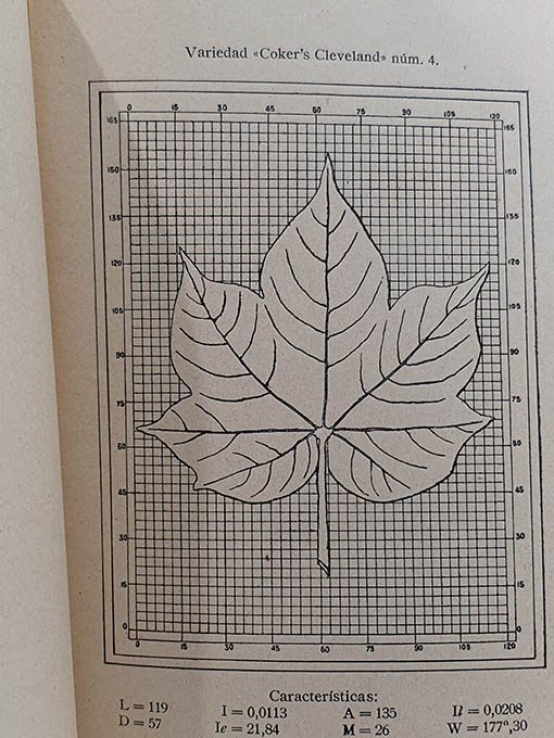 Libro: Variedades de algodón. Estudios realizados durante el año 1926 en el Campo de Ensayos de Huelva. | Autor: | Libros Bosch