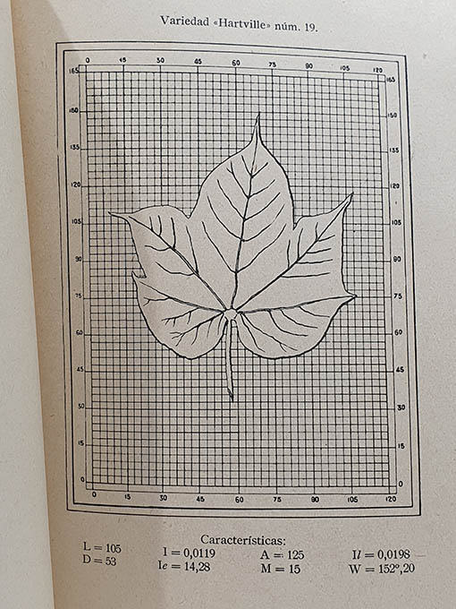 Libro: Variedades de algodón. Estudios realizados durante el año 1926 en el Campo de Ensayos de Huelva. | Autor: | Libros Bosch
