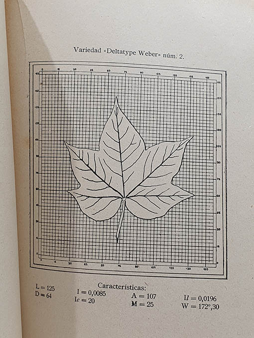 Libro: Variedades de algodón. Estudios realizados durante el año 1926 en el Campo de Ensayos de Huelva. | Autor: | Libros Bosch