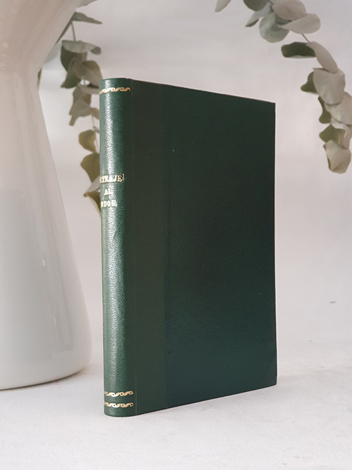 Libro: Ultraje al pudor. | Autor: | Libros Bosch