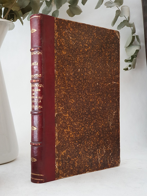 Los seises de la Catedral de Sevilla. Ensayo de investigación histórica. | Libros Antiguos | Libros Bosch Libro: Los seises de la Catedral de Sevilla. Ensayo de investigación histórica. | Autor: | Libros Bosch