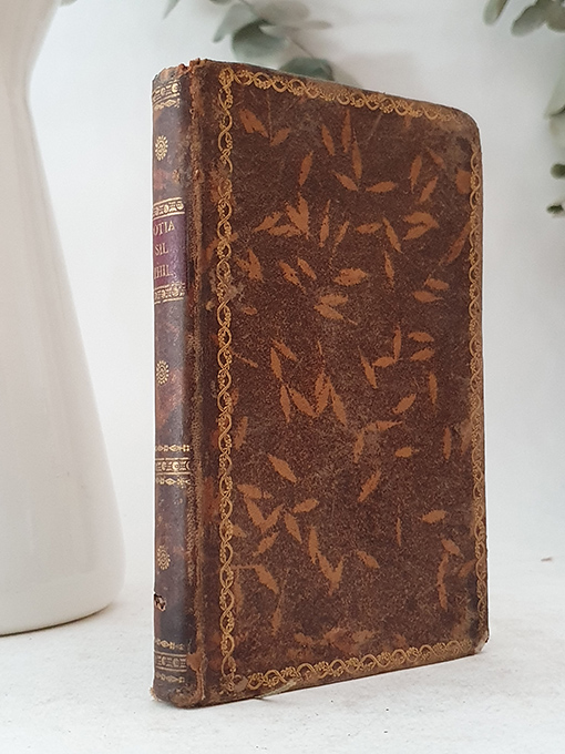 Libro: Otia et Lusus Silvii Philomusi: Latina Omnia, Quaedam Vernaculam in Linguam Versa. | Autor: | Libros Bosch