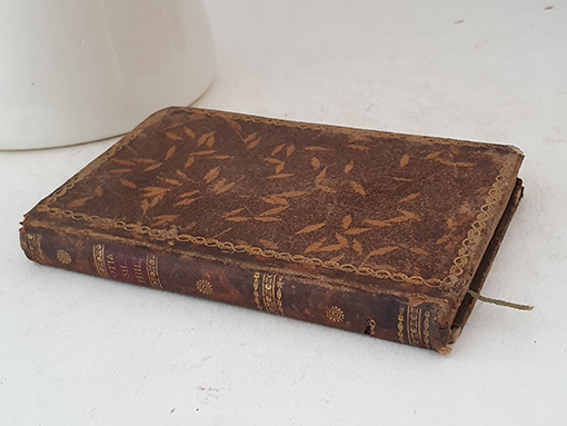 Libro: Otia et Lusus Silvii Philomusi: Latina Omnia, Quaedam Vernaculam in Linguam Versa. | Autor: | Libros Bosch