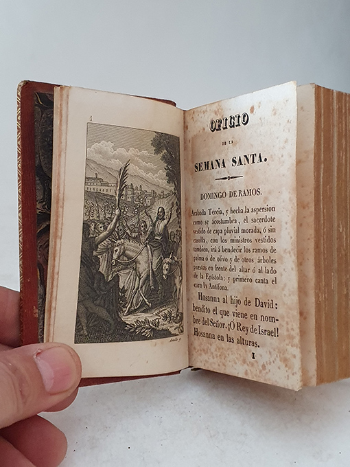 Libro: Oficio de la Semana Santa. Nueva edición. | Autor: | Libros Bosch