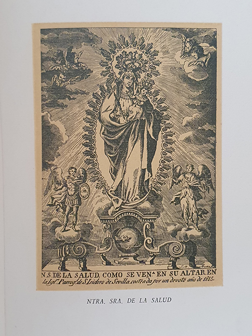 Libro: Relación de los trámites que el EXCMO. Ayuntamiento de la Muy Noble, Muy Leal, Muy Heroíca e Invicta Ciudad de Sevilla ha llevado a cabo para que a estos títutlos se añadiese el de Ciudad Mariana... Año de 1946 | Autor: | Libros Bosch