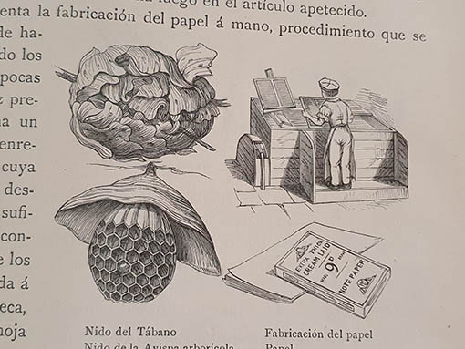 Libro: LOS PRECURSORES DEL ARTE Y DE LA INDUSTRIA. Revelaciones de la naturaleza - Barcelona 1886 - Muy ilustrado | Autor: | Libros Bosch