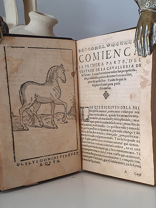 Libro: Tractado de la caballeria de la Gineta compuesto y ordenado por el capitan Pedro de Aguilar vezino de Málaga, Natural de la ciudad de Antequera. | Autor: | Libros Bosch