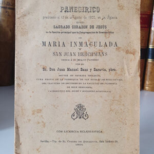Panegírico predicado el 13 de Agosto de 1900  en la Iglesia del Sagrado Corazón de Jesús en la función principal que la Congregación de Seminaristas de María Inmaculada y San Juan Berchmans dedica a su ínclito patrono.