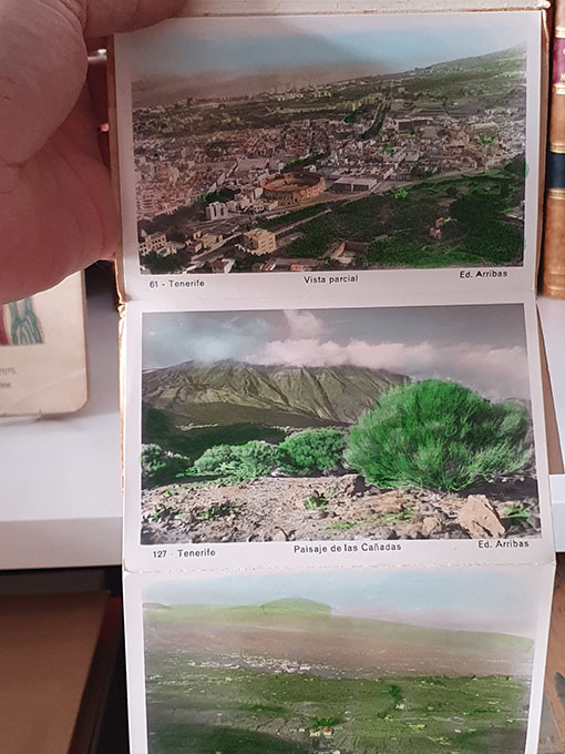 Libro: Recuerdo de Tenerife. VII. Cuaderno - acordeón de fotografías. Nos.: 61, 127, 63, 64, 65, 66, 67, 129, 69 y 70. | Autor: | Libros Bosch