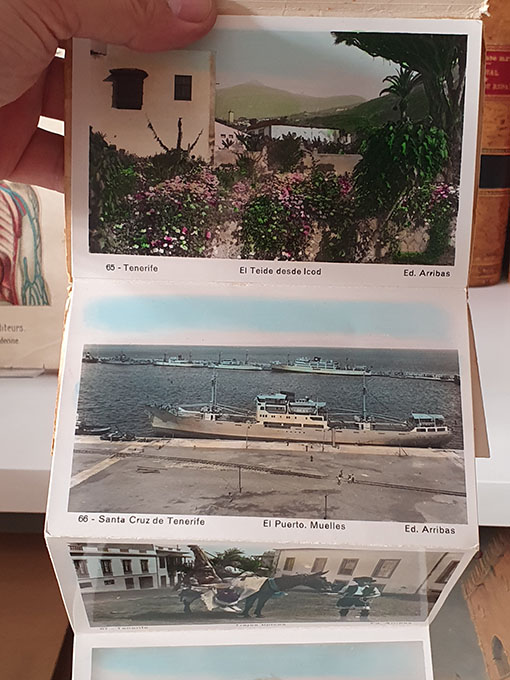 Libro: Recuerdo de Tenerife. VII. Cuaderno - acordeón de fotografías. Nos.: 61, 127, 63, 64, 65, 66, 67, 129, 69 y 70. | Autor: | Libros Bosch