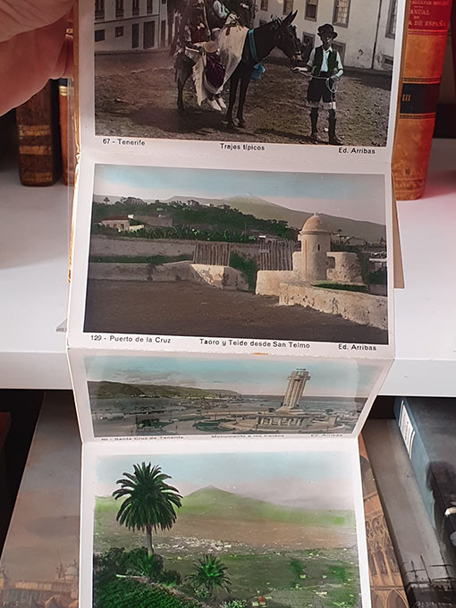 Libro: Recuerdo de Tenerife. VII. Cuaderno - acordeón de fotografías. Nos.: 61, 127, 63, 64, 65, 66, 67, 129, 69 y 70. | Autor: | Libros Bosch