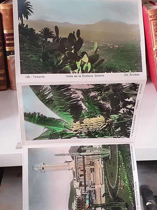Recuerdo de Tenerife. II. Cuaderno - acordeón de fotografías. Nos.: 11, 12, 141, 125, 15, 16, 17, 18, 19 y 20. | Libros Antiguos | Libros Bosch Libro: Recuerdo de Tenerife. II. Cuaderno - acordeón de fotografías. Nos.: 11, 12, 141, 125, 15, 16, 17, 18, 19 y 20. | Autor: | Libros Bosch